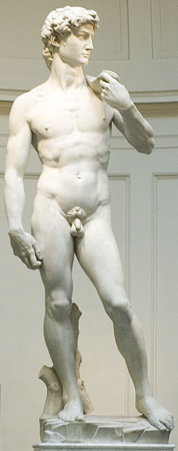 Michelangelo's David as Hero Leader 